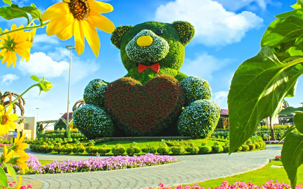 Aya Universe mit Miracle Garden