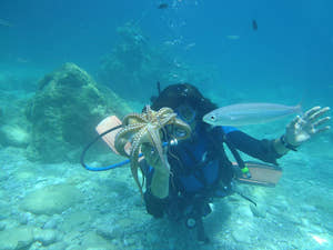 Marmaris Scuba Diving with Two Dives Lunch & Transfer