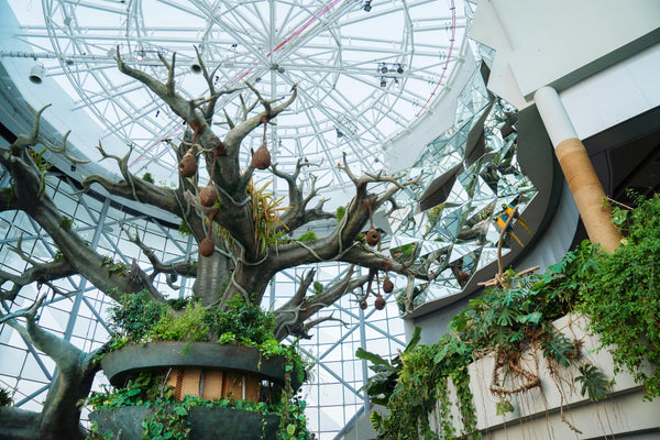 Dubai Green Planet-billet – Tripventura