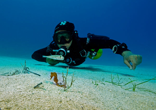 Kas Scuba Diving Tour with Roundtrip Transfer