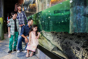 Familie ser en undervandskrokodille i Dubai Aquarium