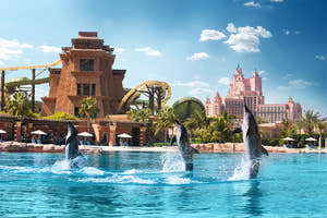 Delfiner i Marine Waterpark Dubai