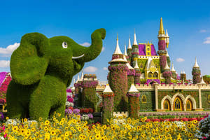 Elefant i Miracle Garden