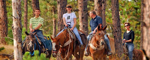 Kusadasi Horse Riding with Guide