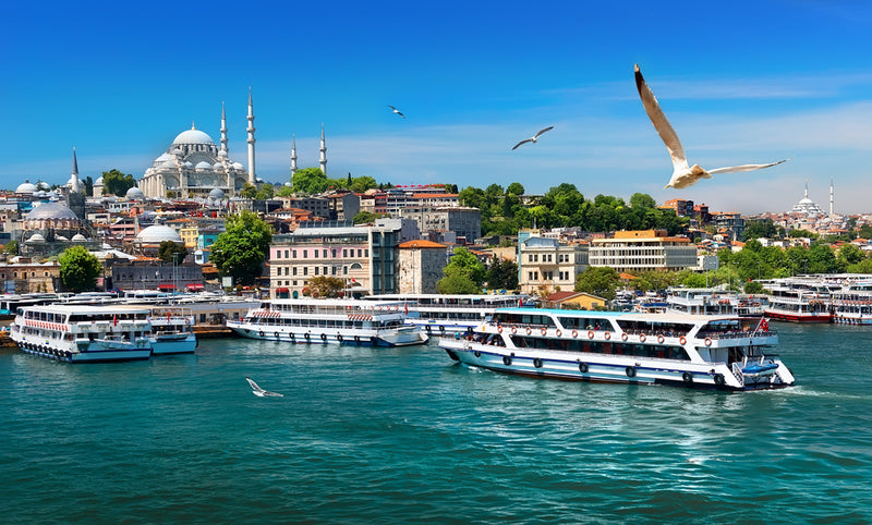 Istanbul Bosphorus and Golden Horn Cruise with Audio Guide