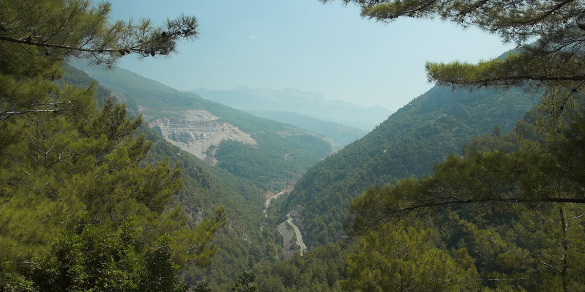 Eco-Friendly Tours in Alanya: A Guide to Sustainable Adventures