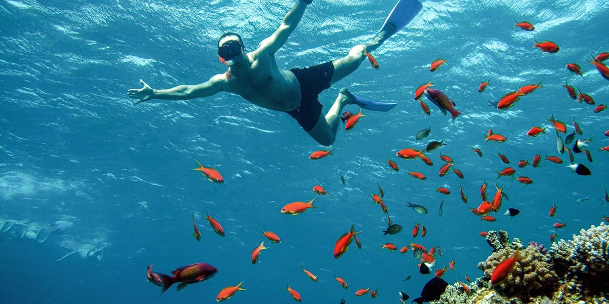 Red Sea Diving in Hurghada: What You Need to Know Before You Go