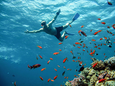Red Sea Diving in Hurghada: What You Need to Know Before You Go