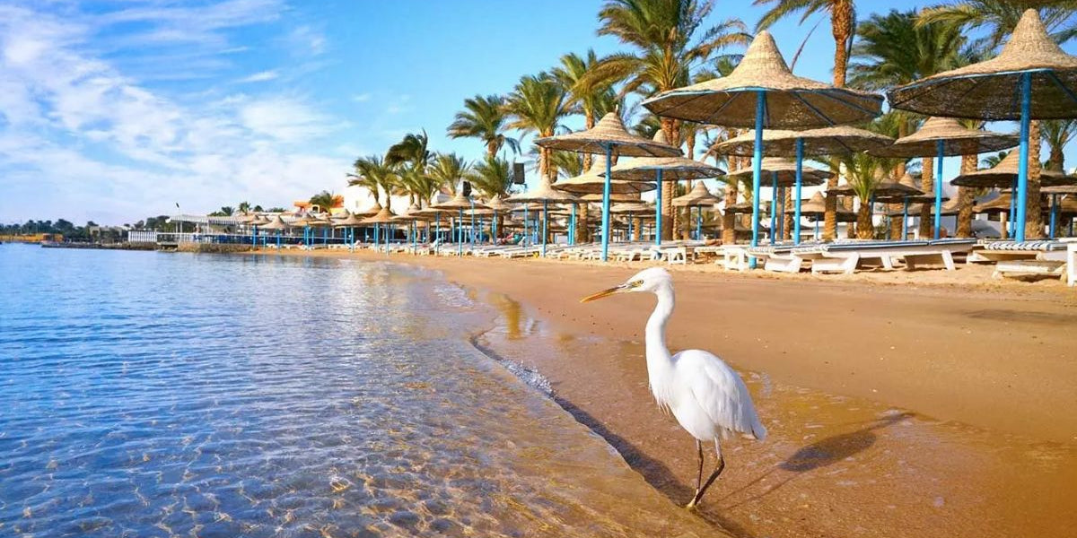 Hurghada family-friendly adventures