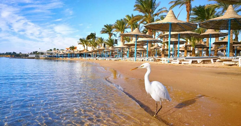 Hurghada family-friendly adventures