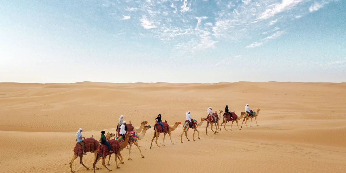 Camel Riding in Dubai Desert Safaris