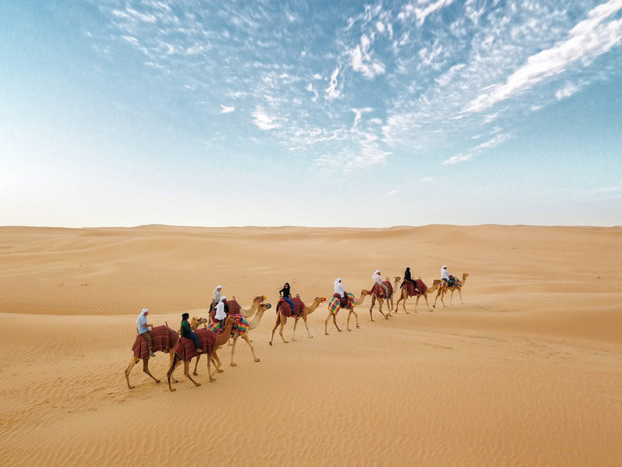Kamelreiten bei Dubai Desert Safaris