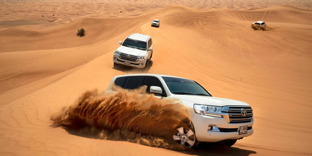 Experience Red Dune Desert Safari in Dubai