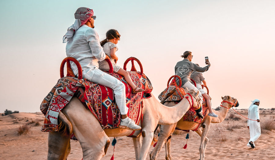 Erleben Sie den Luxus von Dubais VIP-Wüstensafari