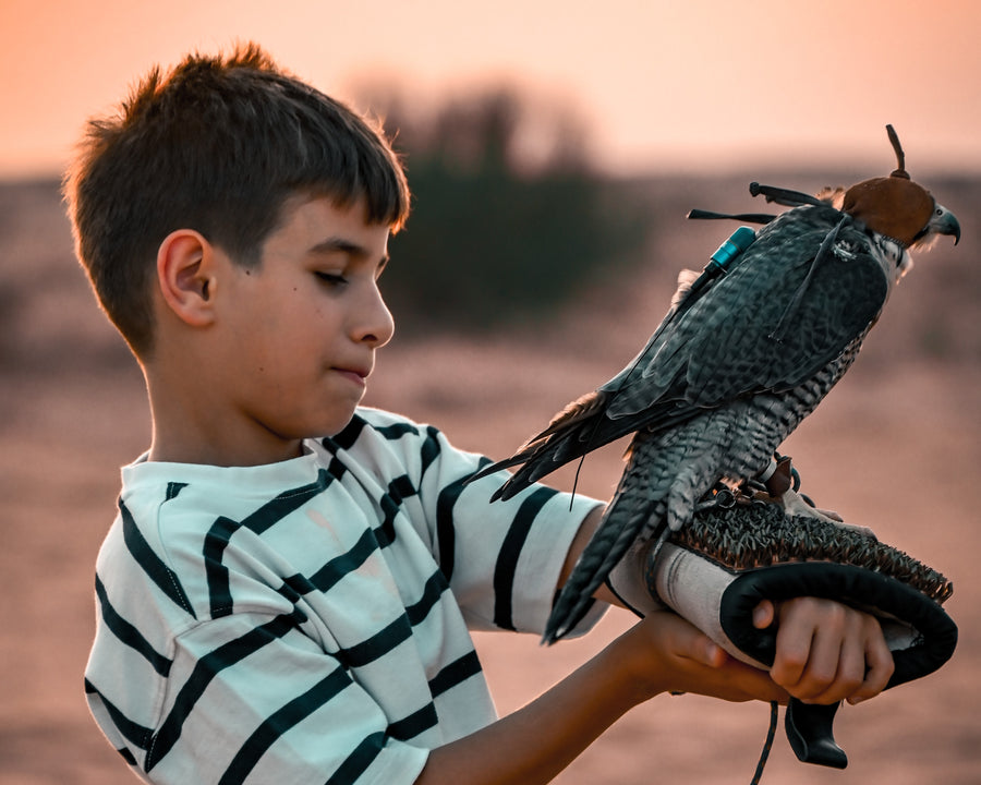 Erleben Sie Falknerei auf Dubais Wüstensafaris