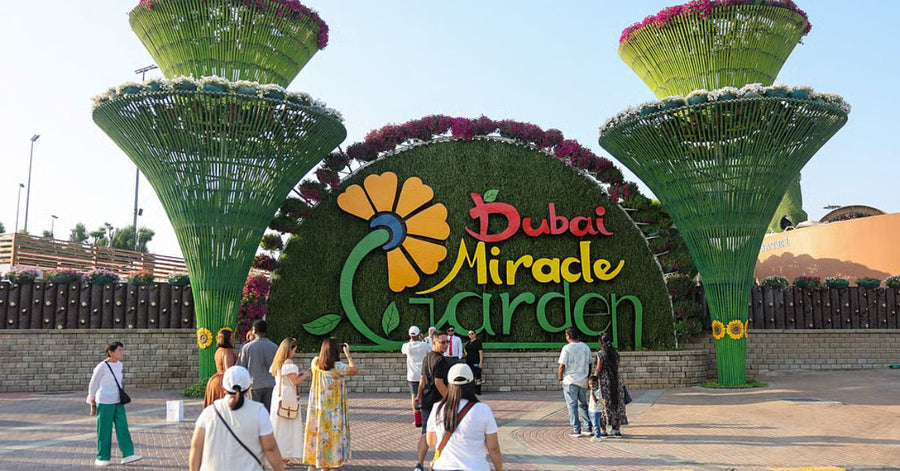 Beste Besuchszeit für den Dubai Miracle Garden: Saison, Blumen & Fototipps 2026