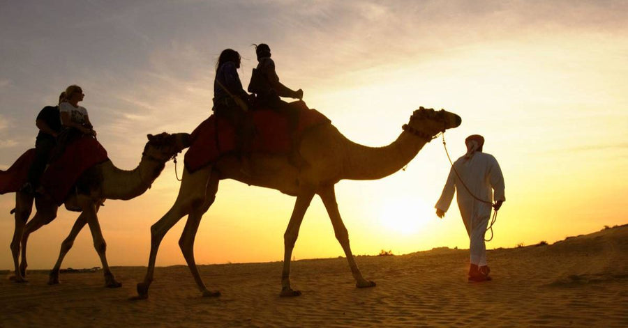 Beste Kamelritt-Touren in Sharm El Sheikh: Wüstensafari & Beduinen-Erlebnis