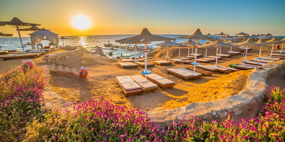 Sharm El-Sheikh Tours, Diving & Desert Safari Guide - Best Activities