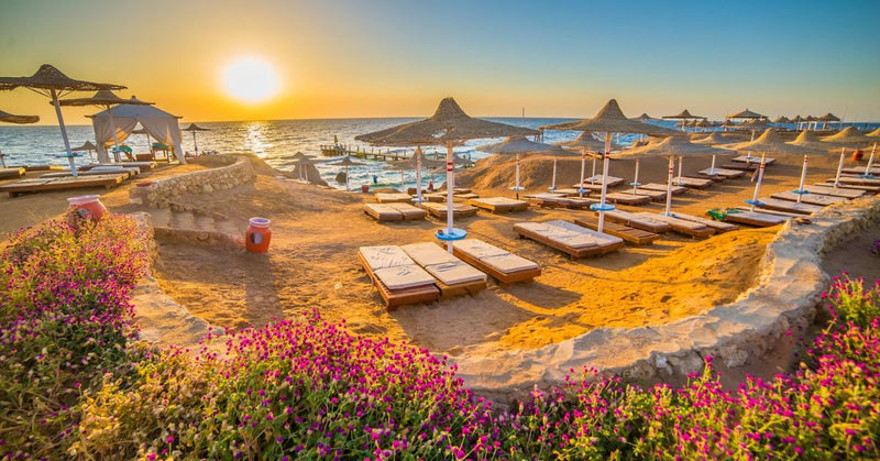 Sharm El-Sheikh Tours, Diving & Desert Safari Guide - Best Activities