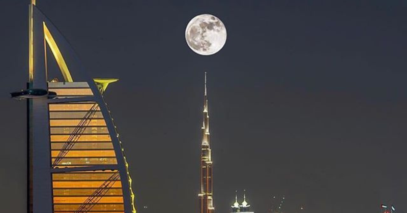 beaver Moon in Dubai