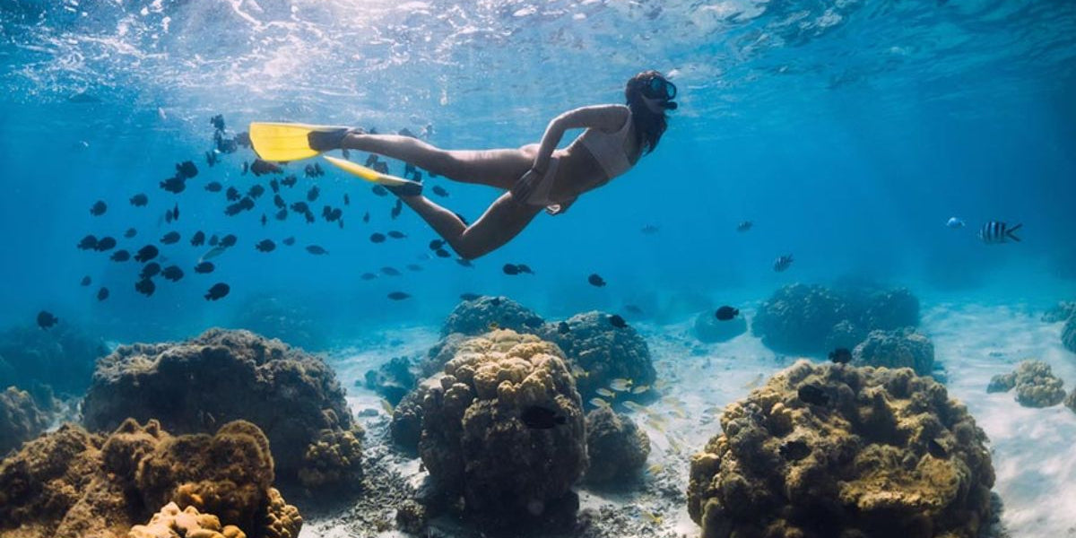 Snorkeling in Sharm El Sheikh