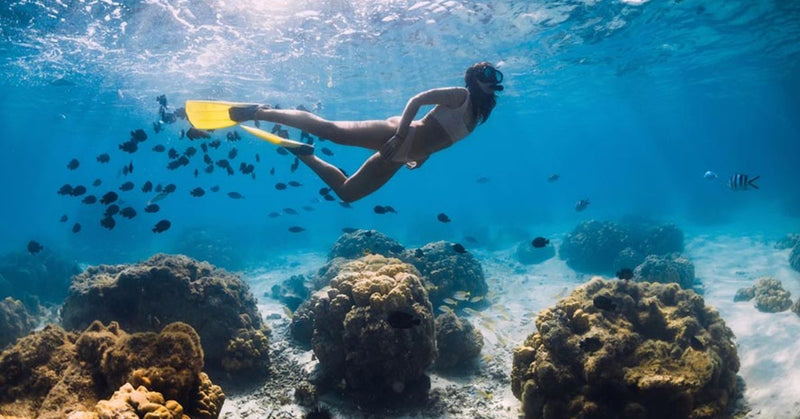 Snorkeling in Sharm El Sheikh