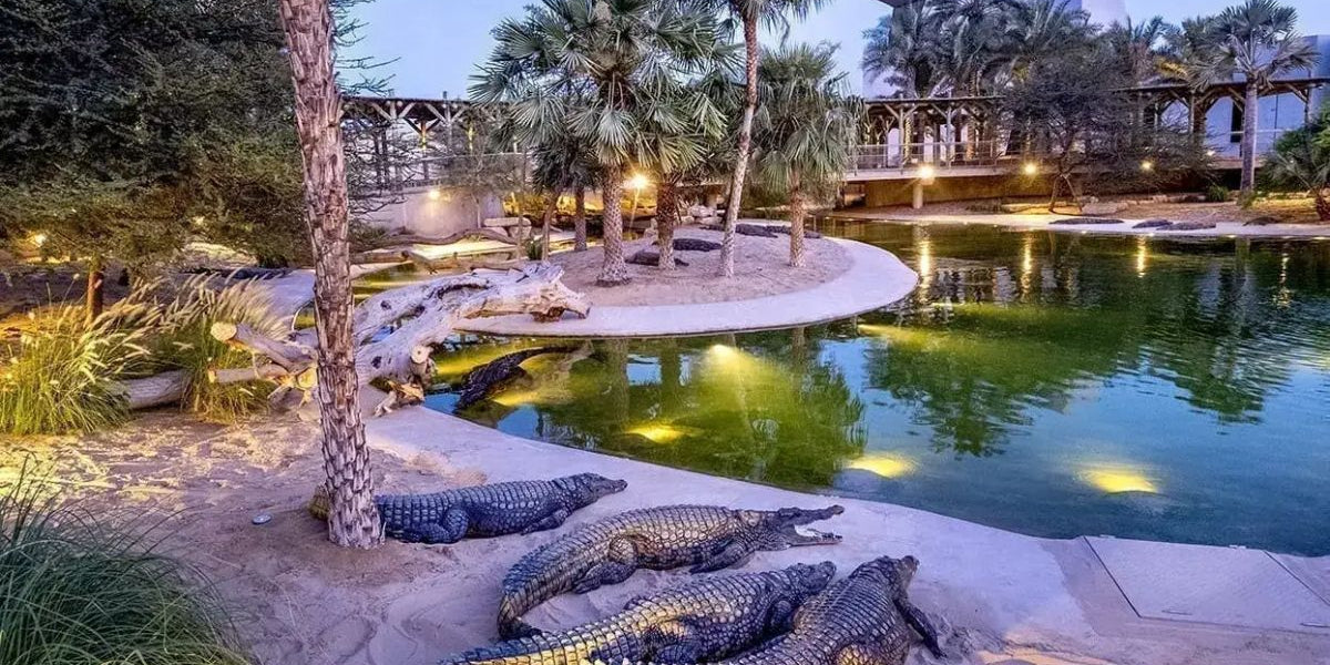 Crocodile Park Dubai