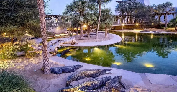 Dubai Timsah Parkı: Türler ve Biletler Hakkında Kapsamlı Kılavuz 2026