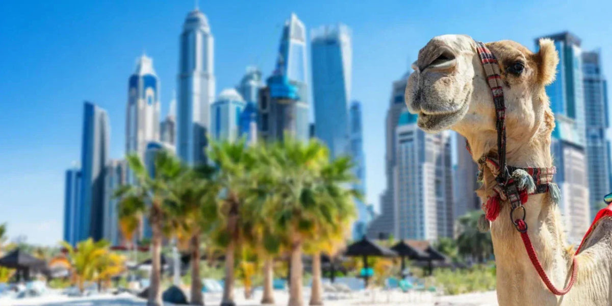 Top 5 Dinge, die Sie vor einer Reise nach Dubai wissen sollten