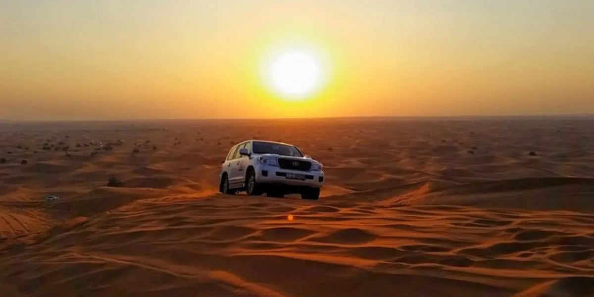 Wüstensafari in Dubai: Abenteuer & Touren