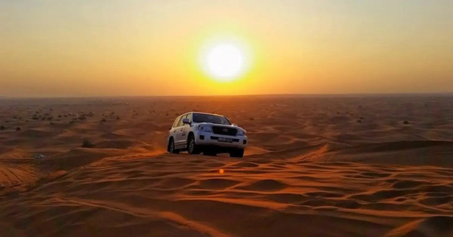 Dubai Desert Safari Bewertung 2025: Lohnt es sich noch? Angebote, Pakete und Preisvergleich