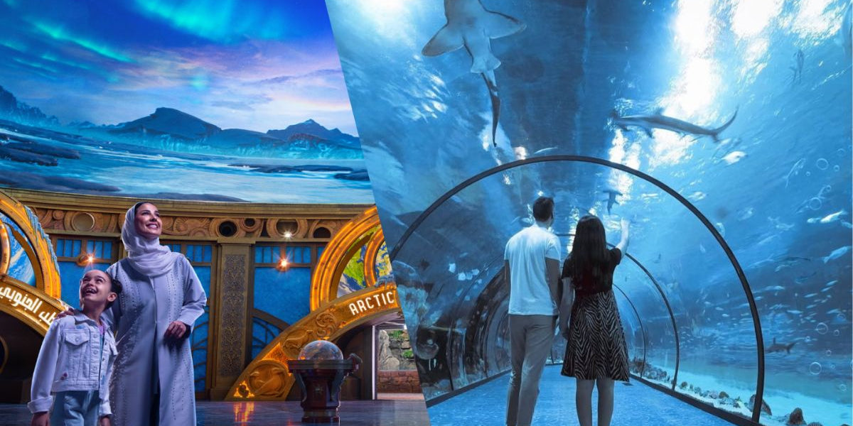 SeaWorld Abu Dhabi vs National Aquarium: Which Marine Experience is Better?