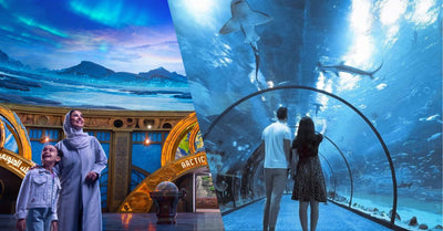 SeaWorld Abu Dhabi vs National Aquarium: Which Marine Experience is Better?