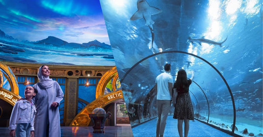 SeaWorld Abu Dhabi vs National Aquarium: Which Marine Experience is Better?