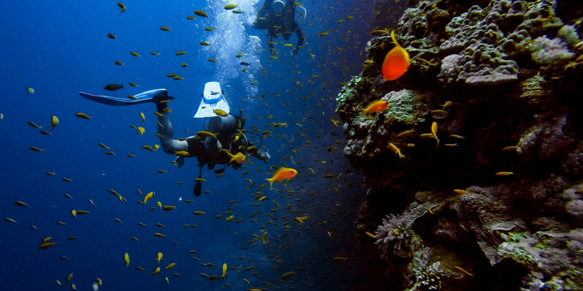Diving Sites in Alanya: 10 Best Dive Spots