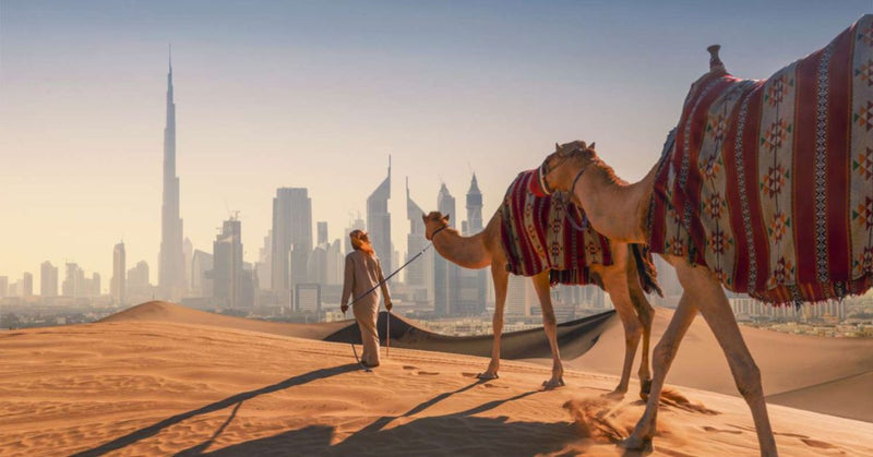 Top 10 Best Tour Companies in Dubai