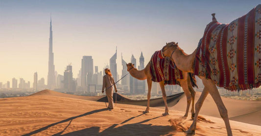 Top 10 Best Tour Companies in Dubai