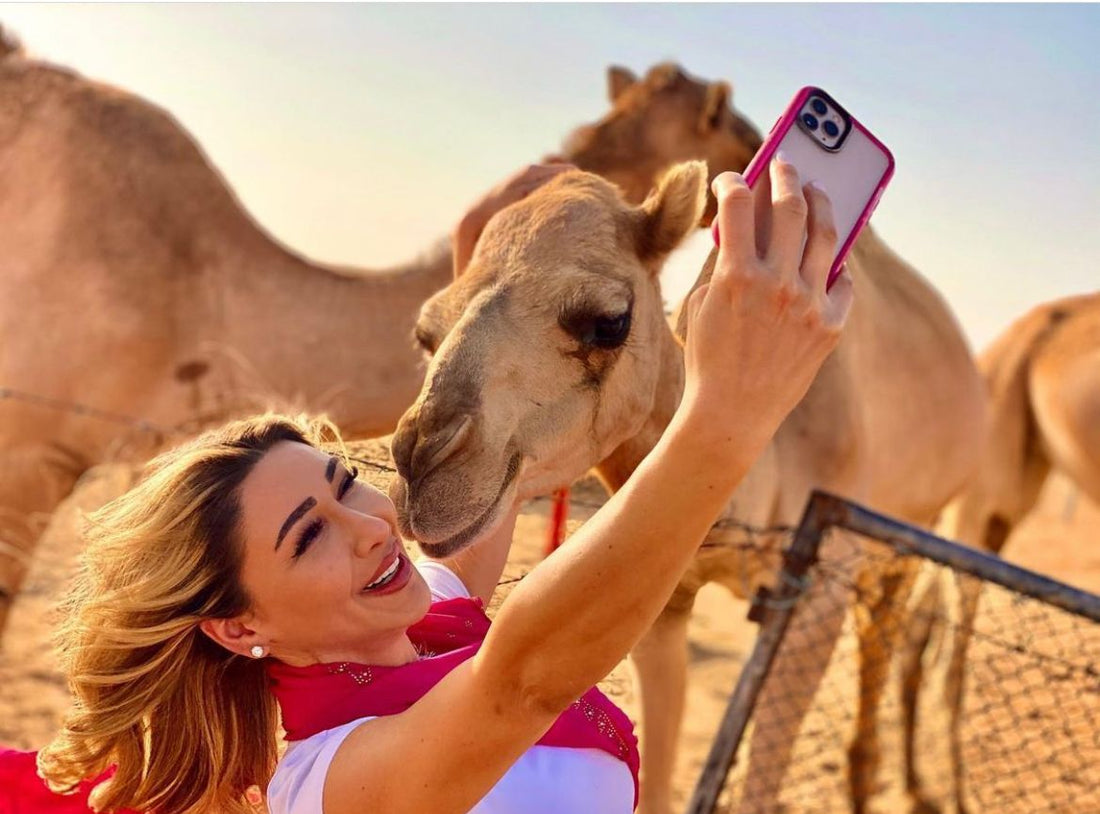 Desert Safari Dubai Price Comparison: What You Get for Each Package