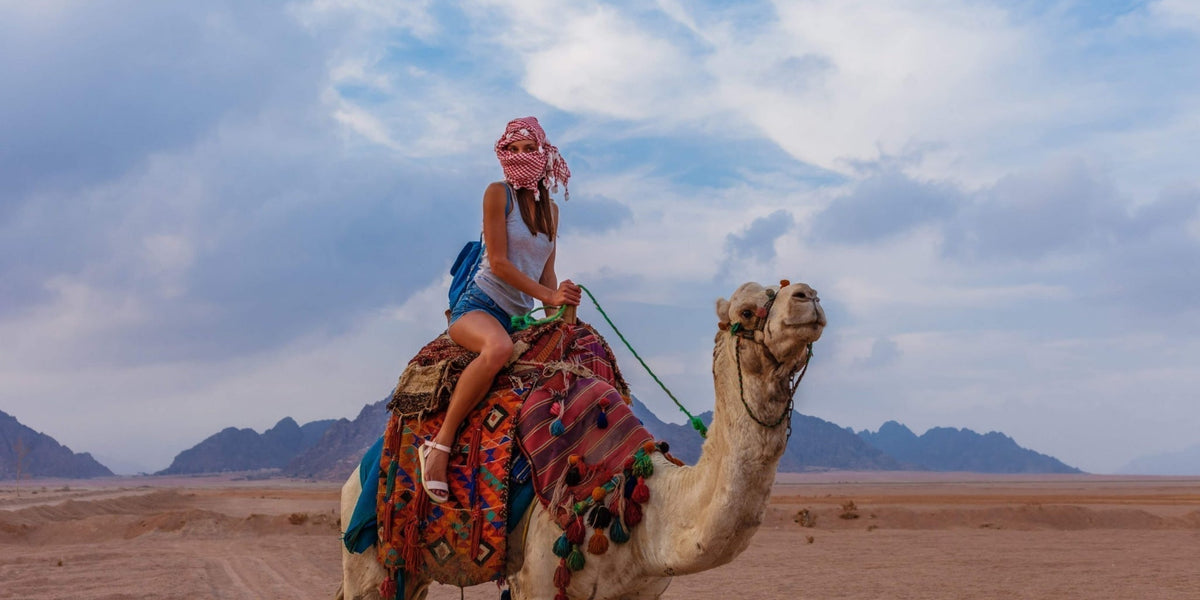 Camel Riding in Hurghada: A Traditional Bedouin Experience