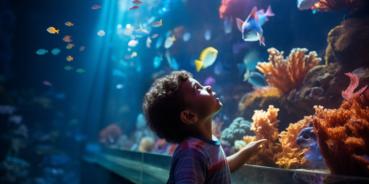Antalya Aquarium Detailed Review: Ticket Prices, What To Do and How To Go There