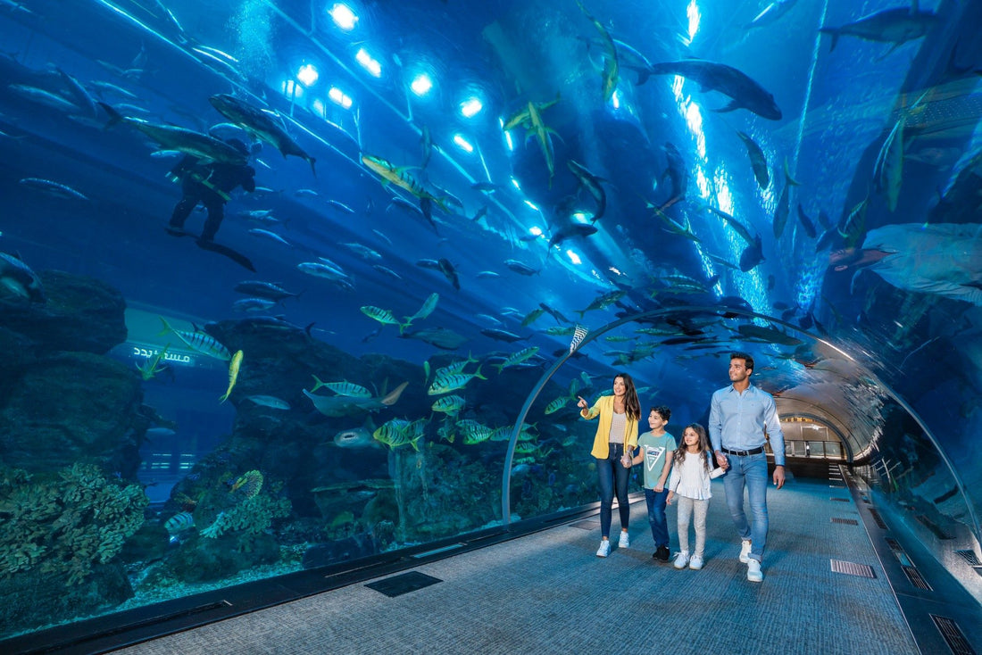 Top Things To Do with Kids in Dubai