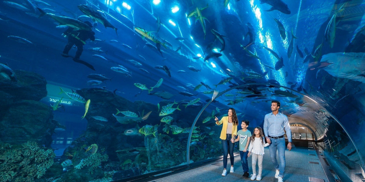 Top Things To Do with Kids in Dubai