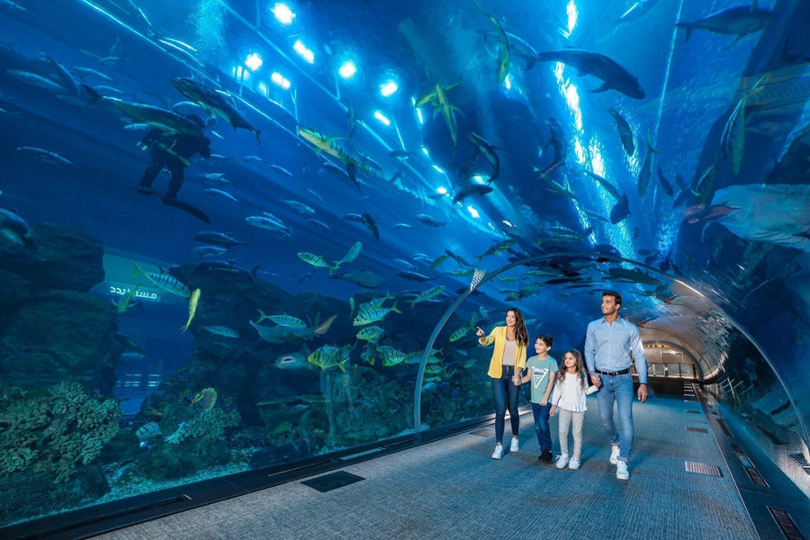 Die besten Aktivitäten für Kinder in Dubai