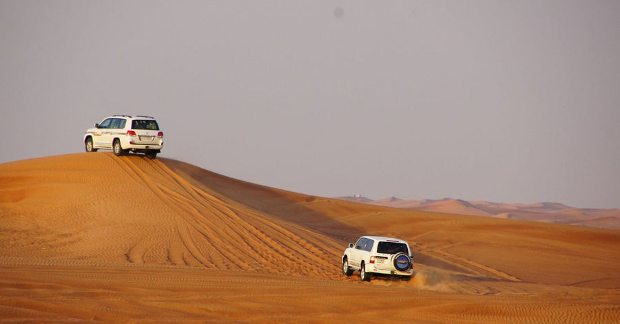 Premium vs Standard Desert Safari in Dubai: Welche Option sollten Sie wählen?