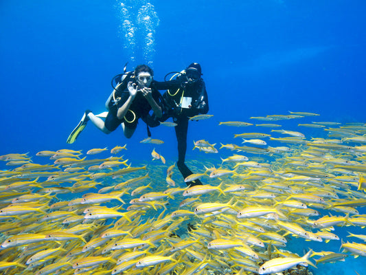 Top Scuba Diving Sites in Hurghada: Wrecks, Reefs, and More