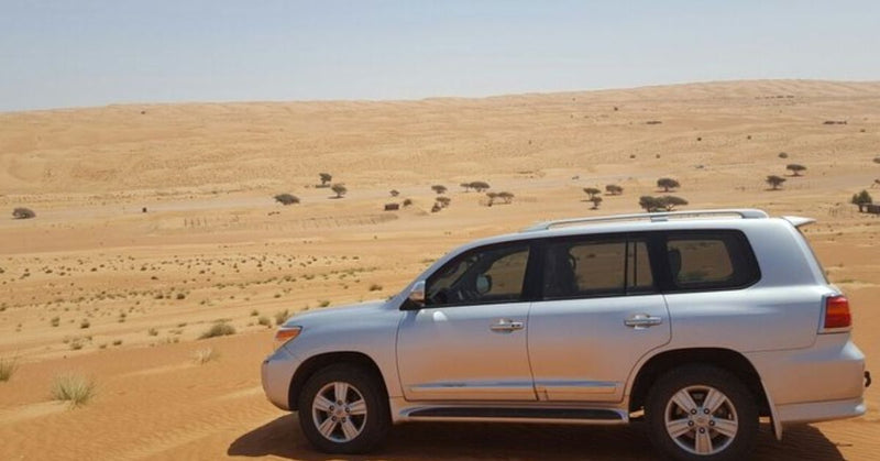 dubai to oman transfer