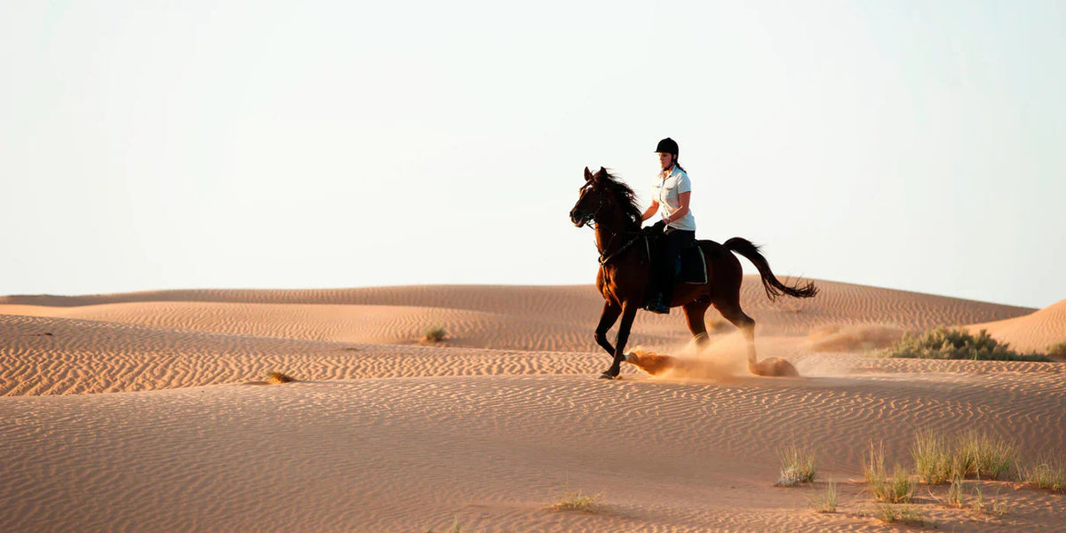 Your Complete Guide to Dubai Desert Safari Activities