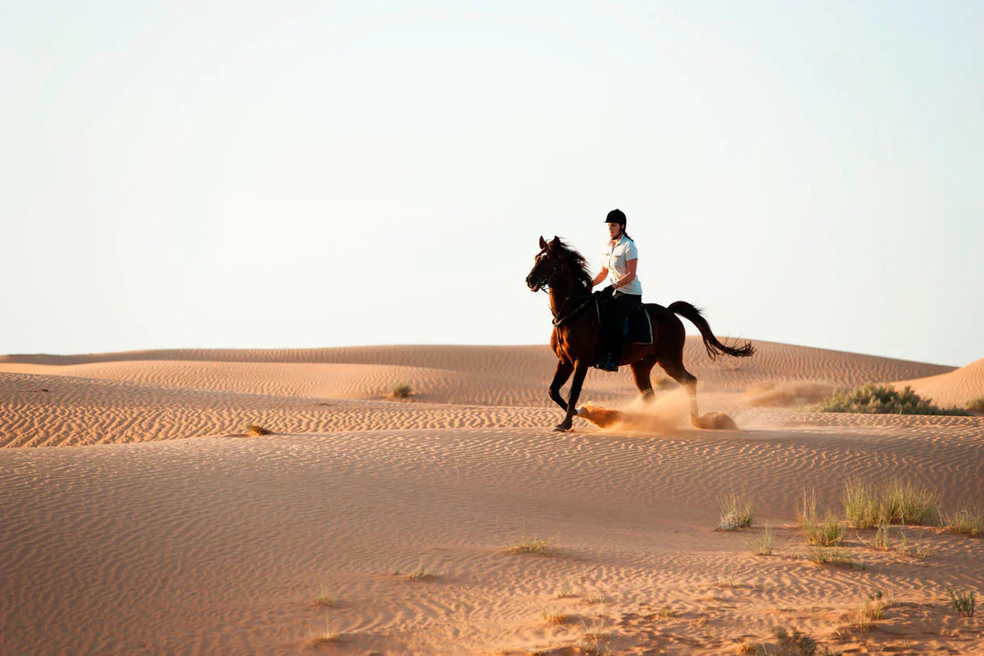 Your Complete Guide to Dubai Desert Safari Activities