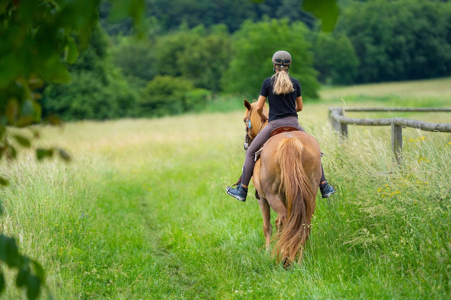 Horse Riding in Alanya: An Exciting Adventure for Enthusiasts