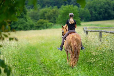 Horse Riding in Alanya: An Exciting Adventure for Enthusiasts